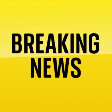 Chair of UK’s competition regulator removed by government