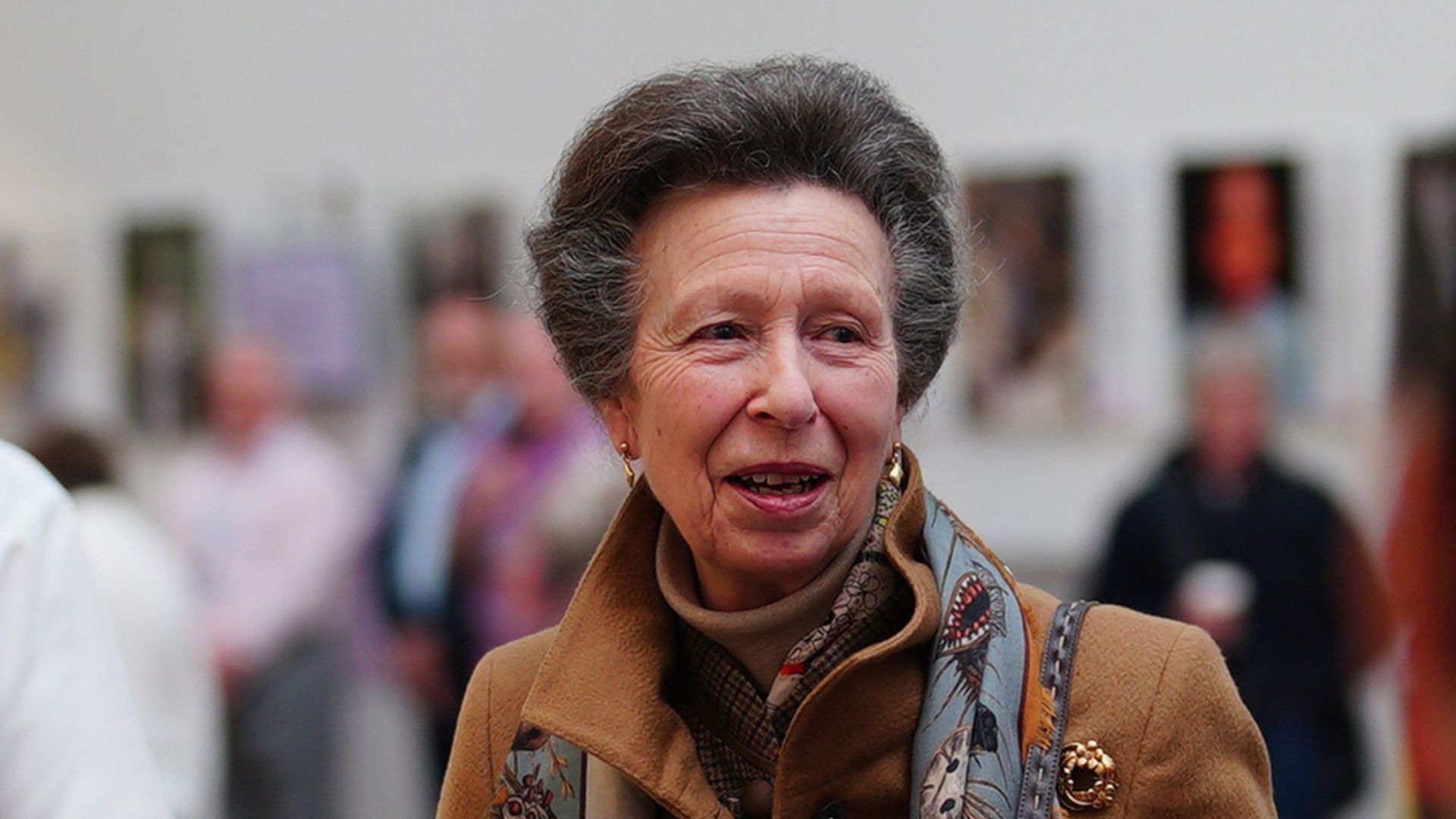 Princess Anne thanks hospital staff for ‘filling in the blanks’ after horse accident