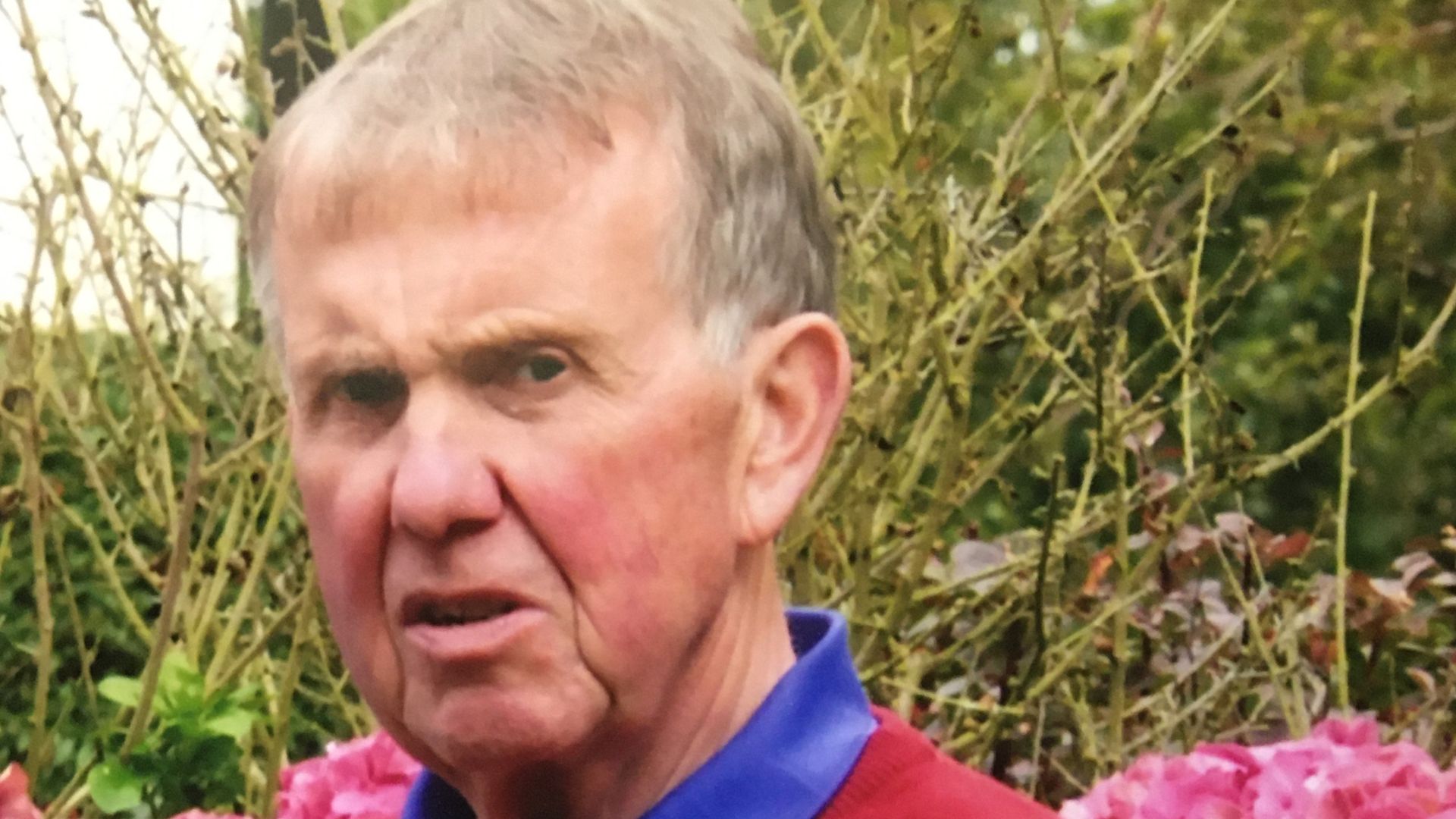 Insufficient evidence to prosecute farmer after cows trampled rambler, inquest hears