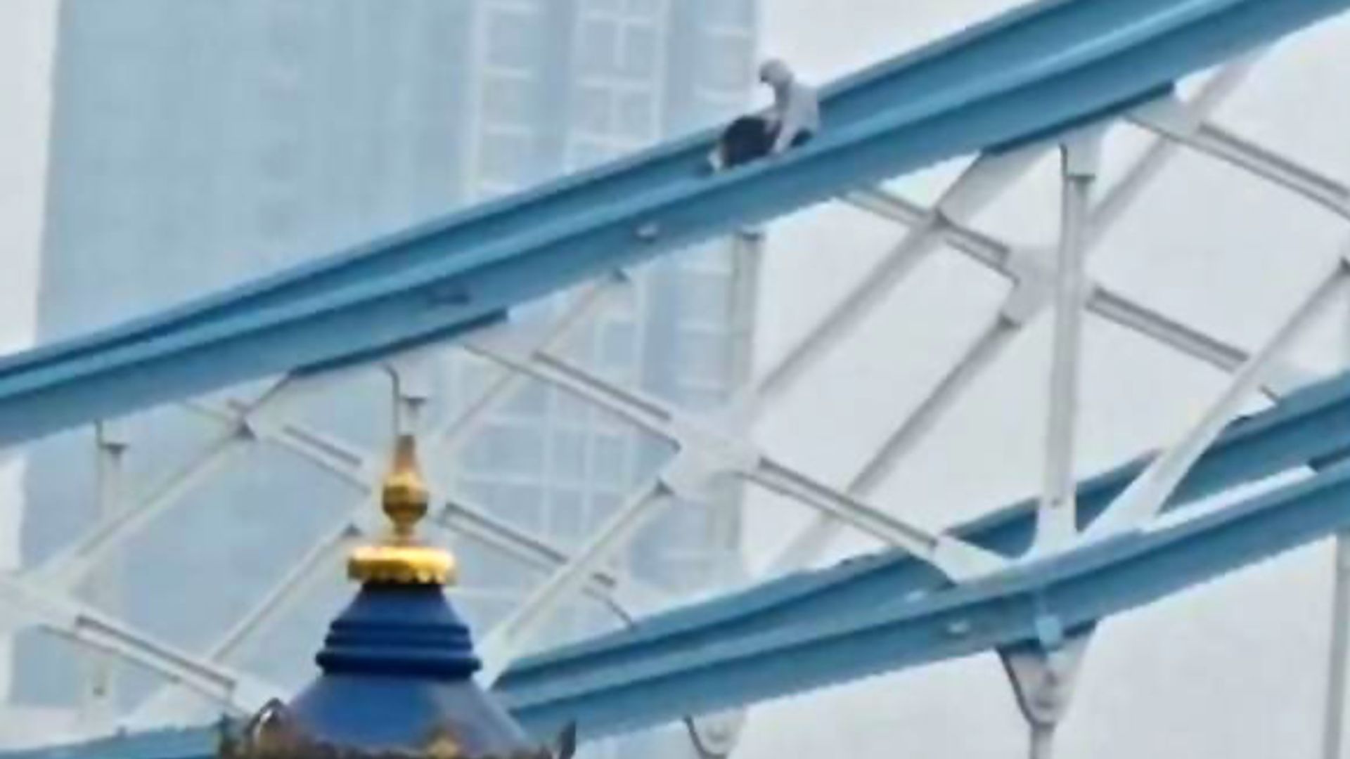 Tower Bridge shut down after person scales railings