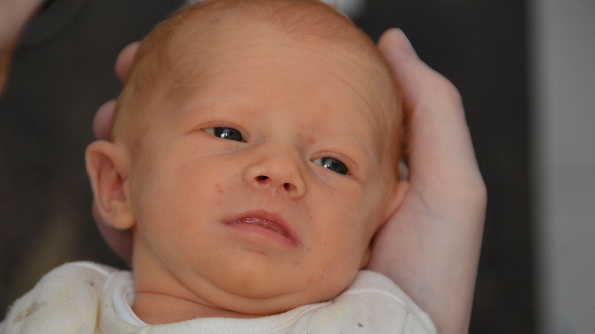 Baby girl becomes first child in UK to be born from womb transplant