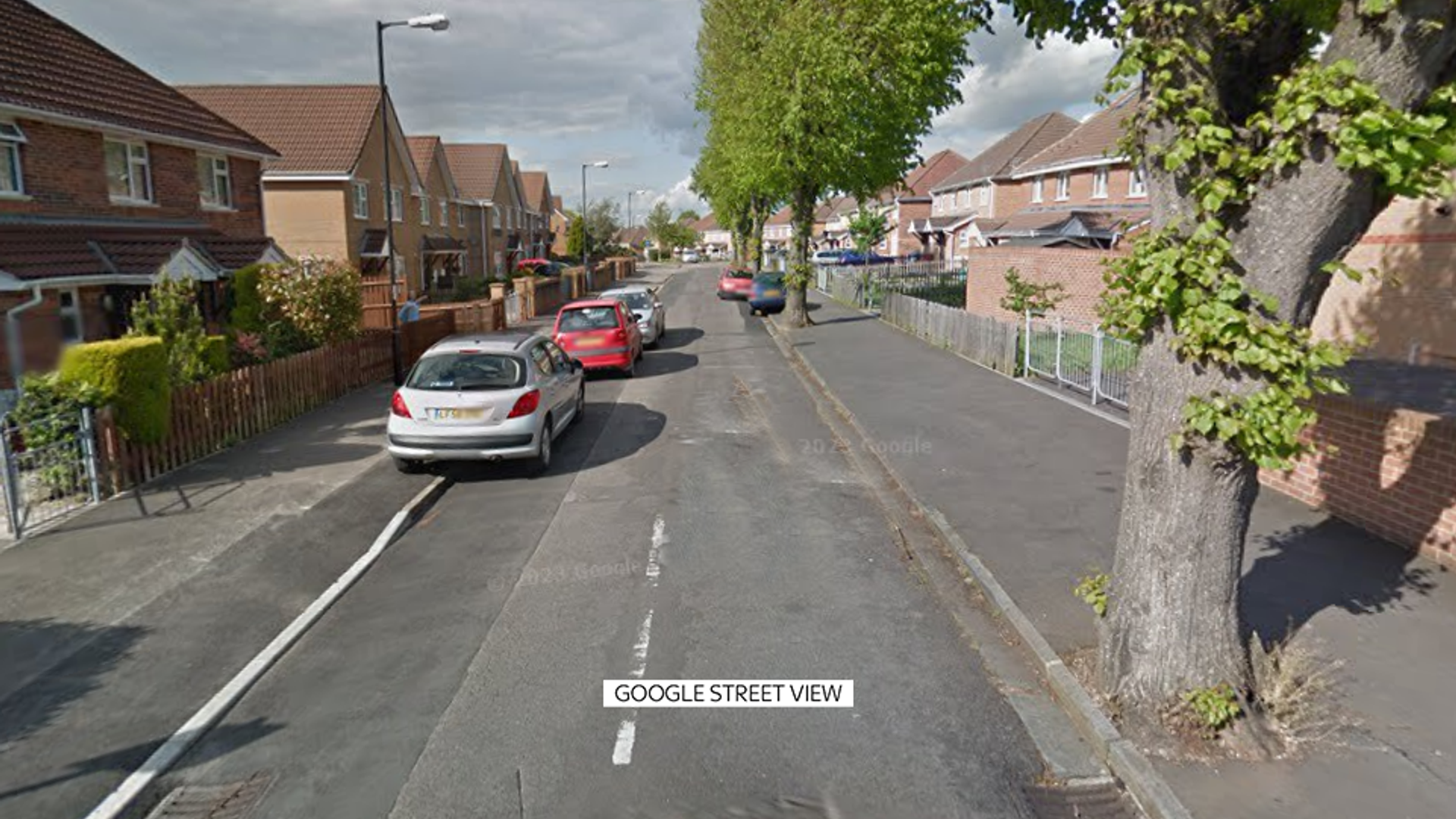 Woman suffers potentially life-changing injuries in suspected XL bully attack