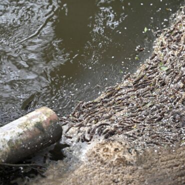 Public failed by water regulators and govt as bills rise – spending watchdog