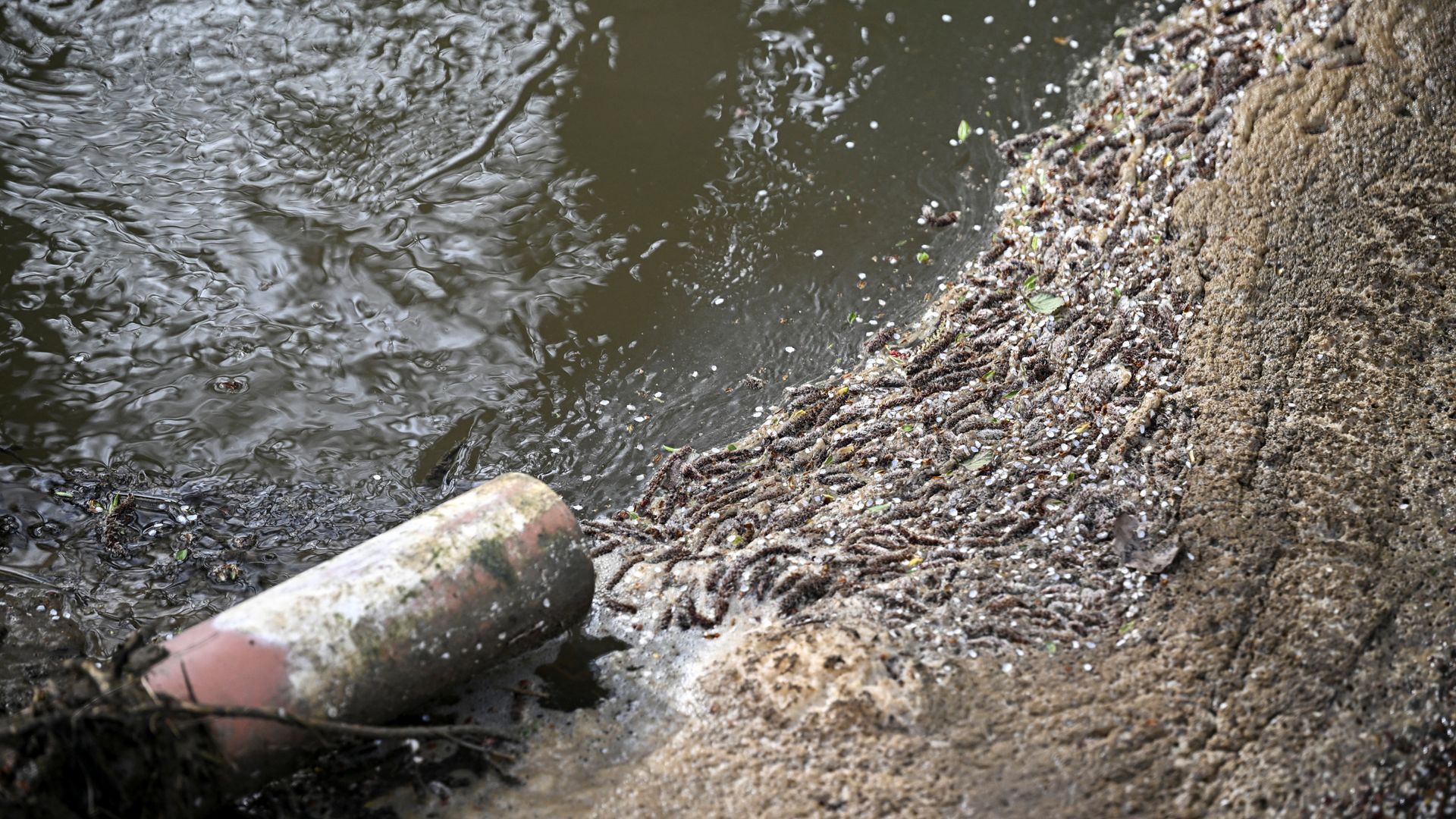 Public failed by water regulators and govt as bills rise – spending watchdog