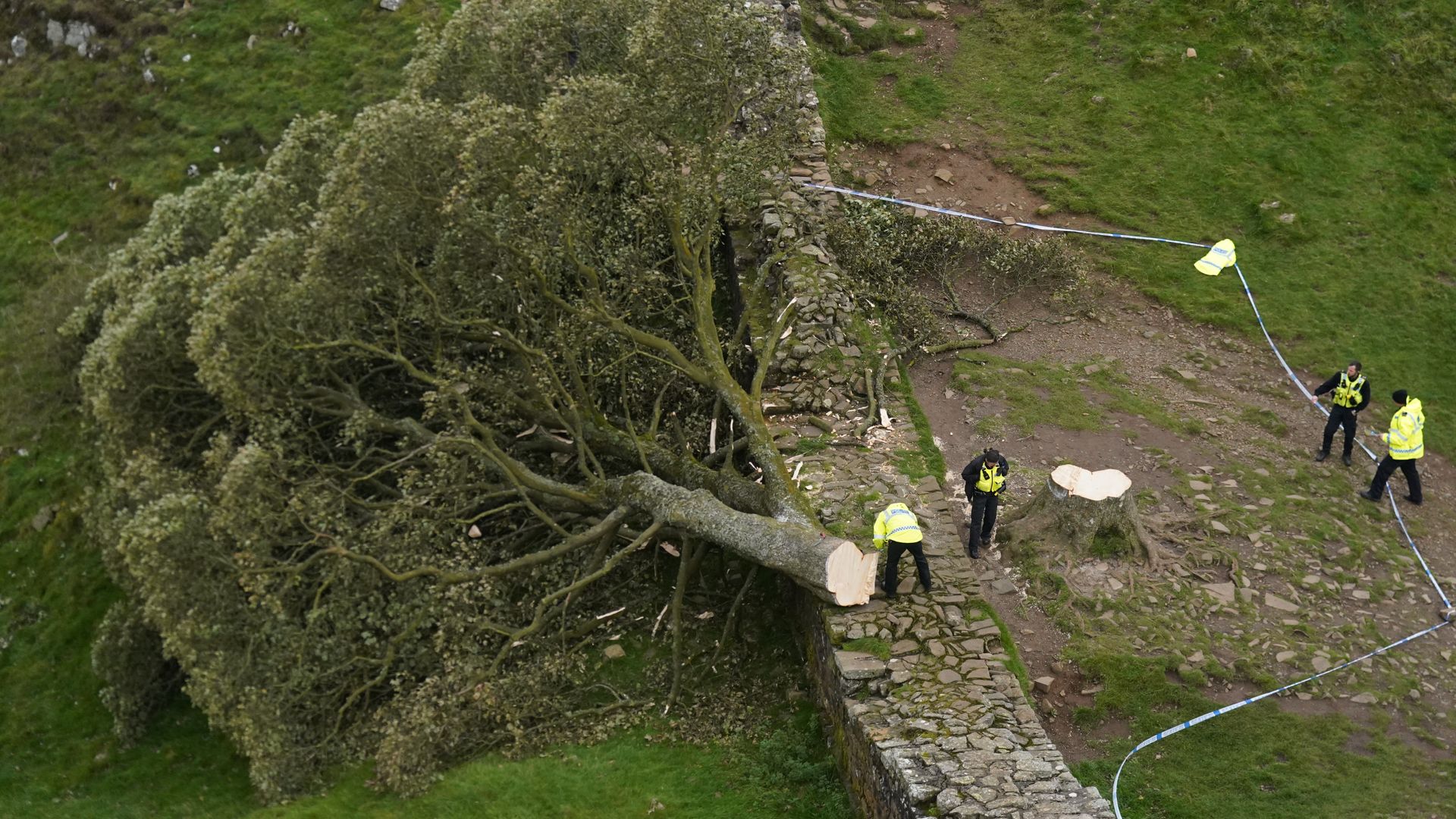 Two men went on ‘moronic mission’ to fell Sycamore Gap tree, jury told