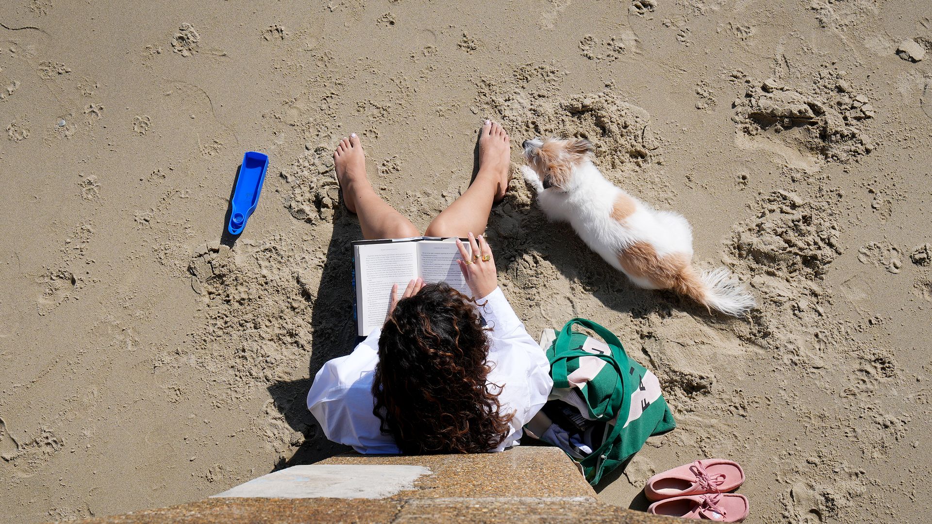UK temperatures to soar up to 23C in some areas on Friday – as warning issued by fire brigade