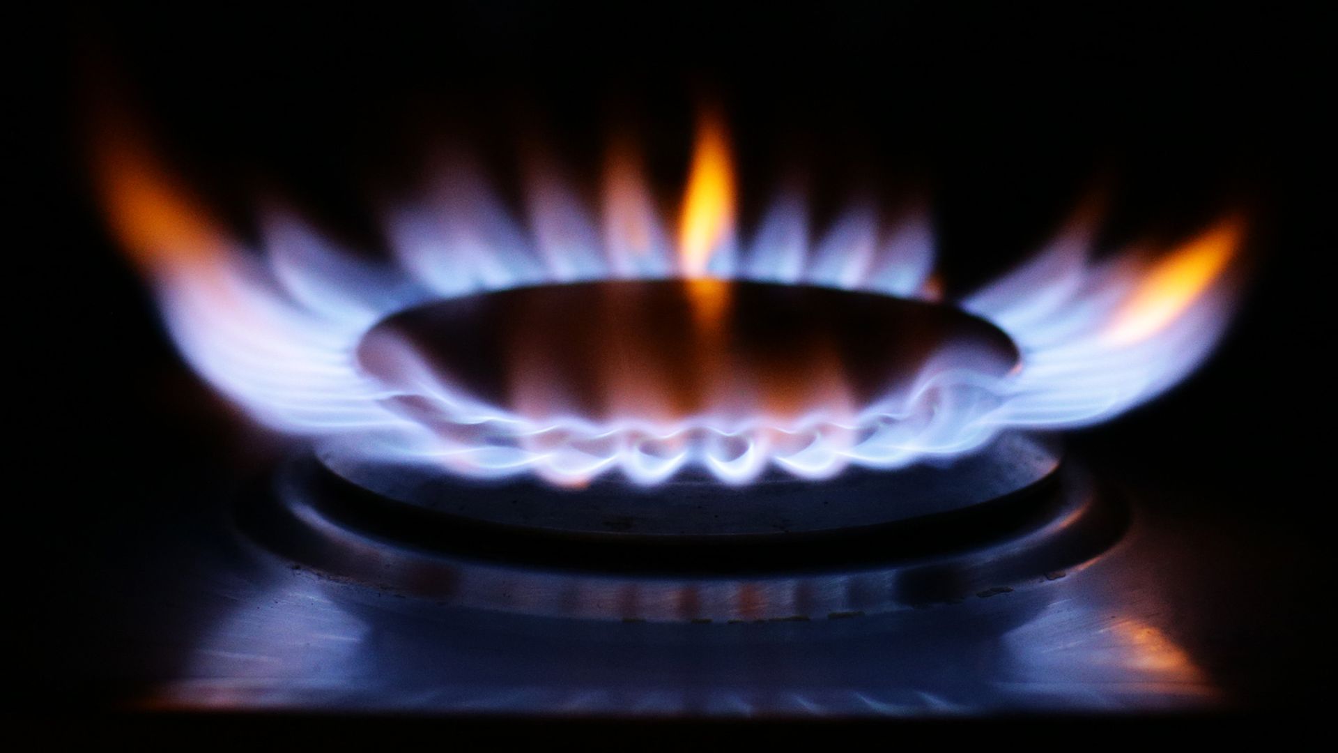 Customers ‘protected’ as household energy supplier exits market