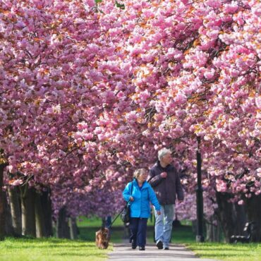 Large parts of UK set to be warm and sunny early next week