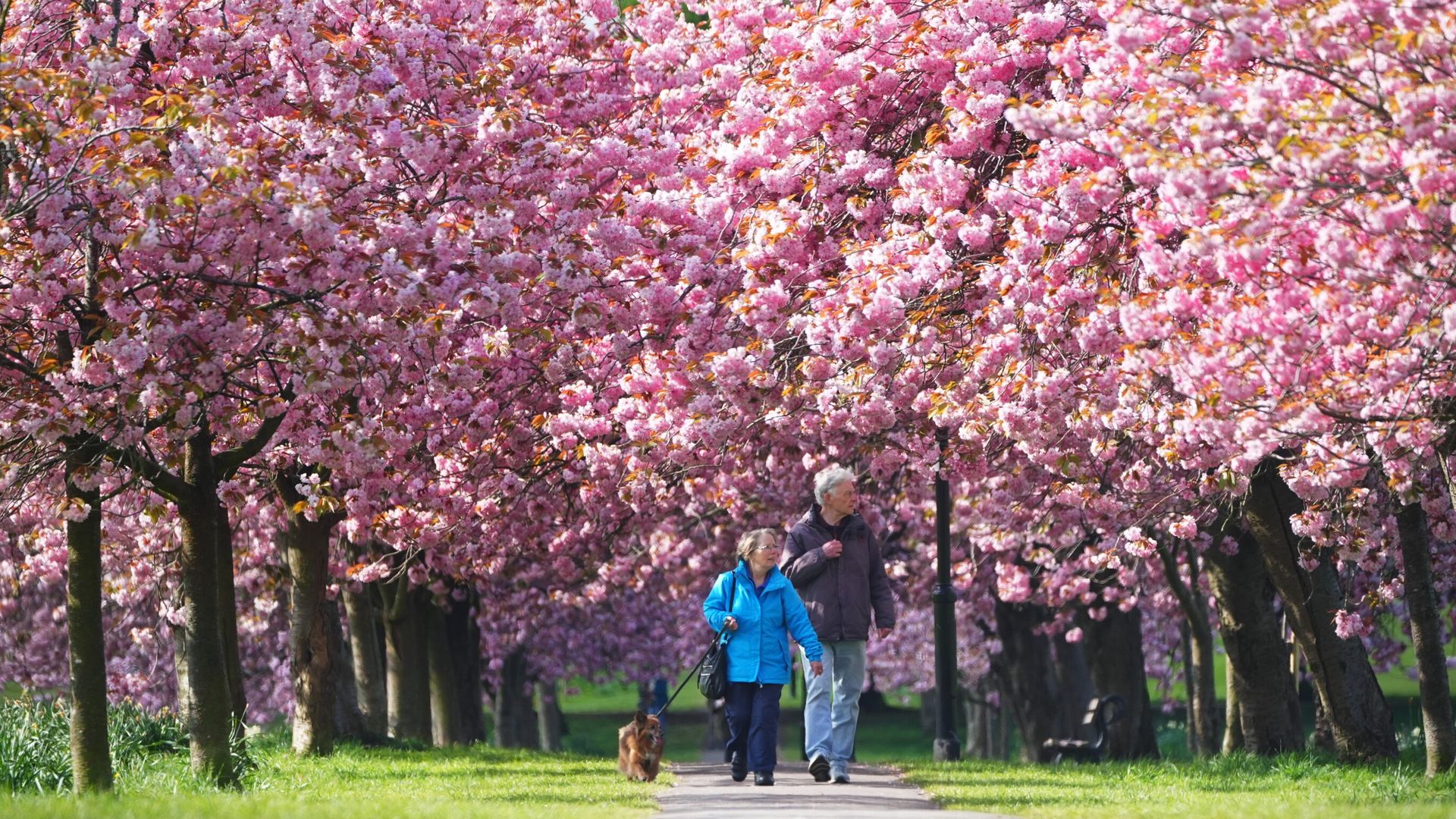 Large parts of UK set to be warm and sunny early next week