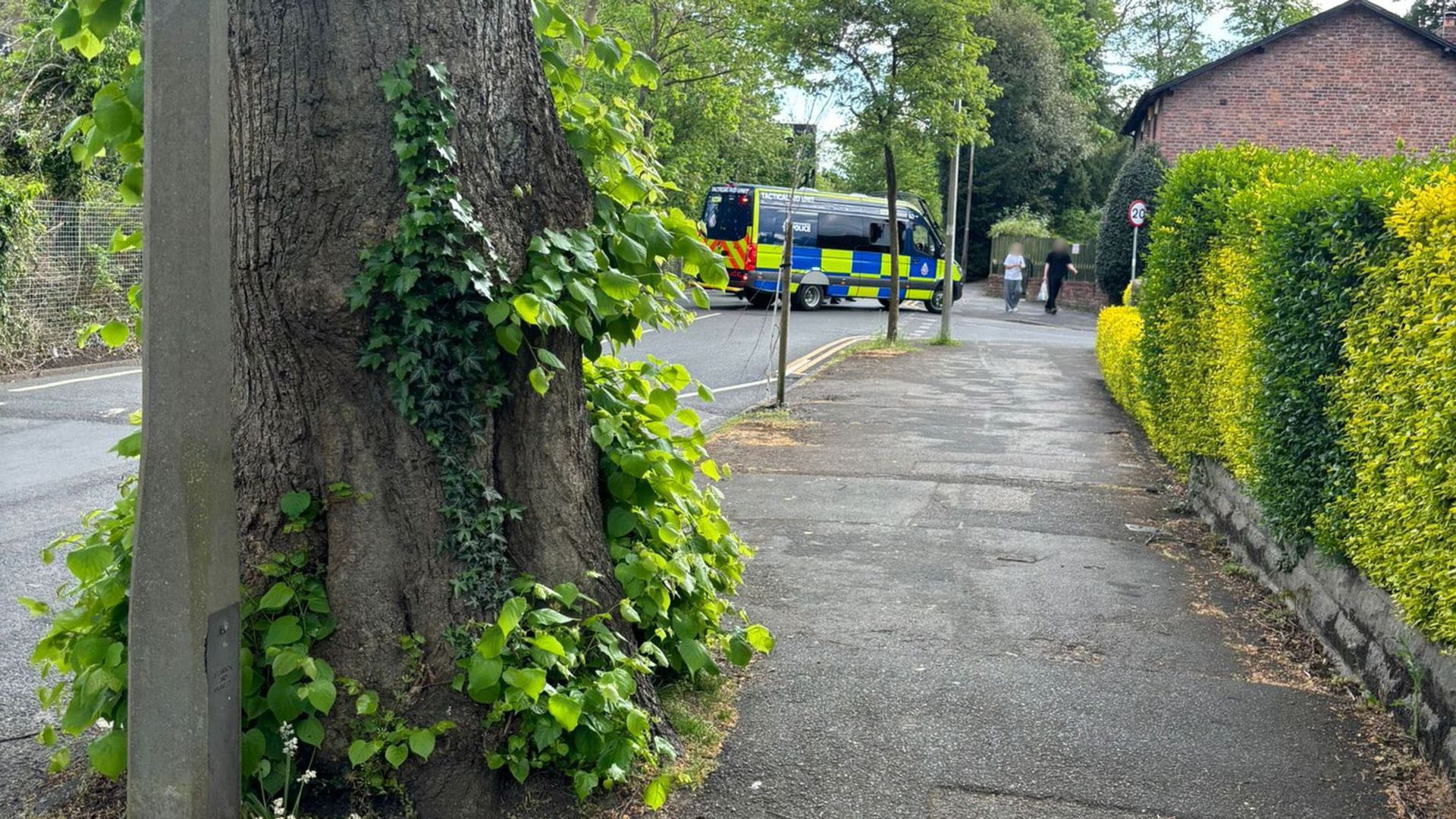 14-year-old mistakenly arrested by armed police during suspected terrorism plot probe