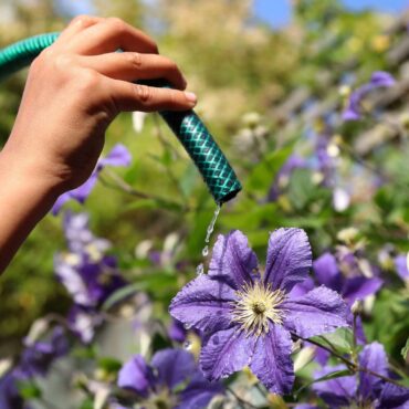 Scots urged to take shorter showers and avoid using hoses