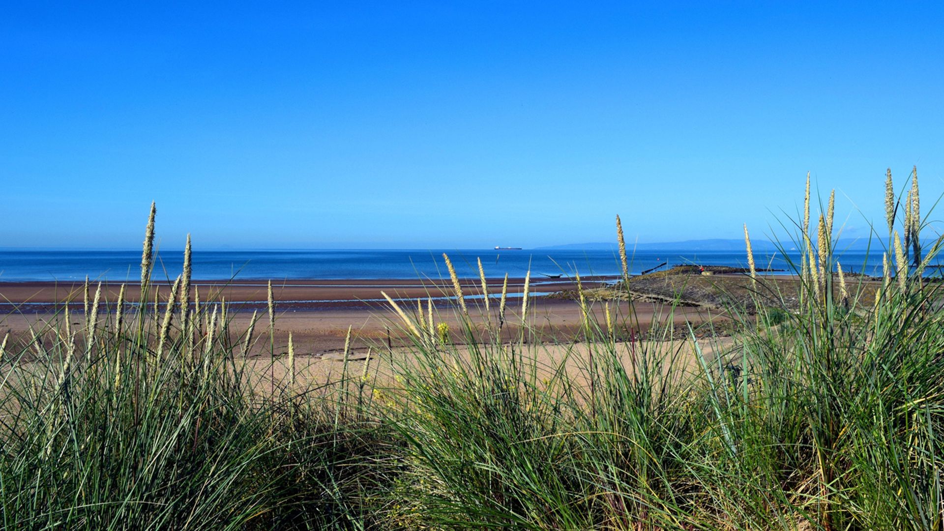 Boy dies after ‘disturbance’ at beach