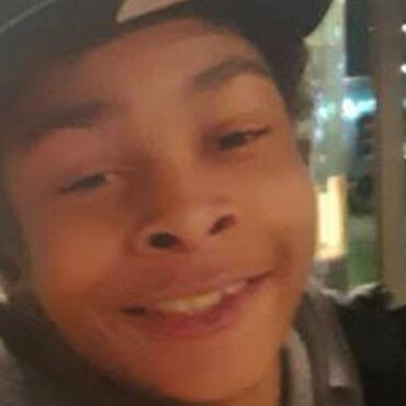 Two teenagers plead guilty to murdering schoolboy in machete bus attack