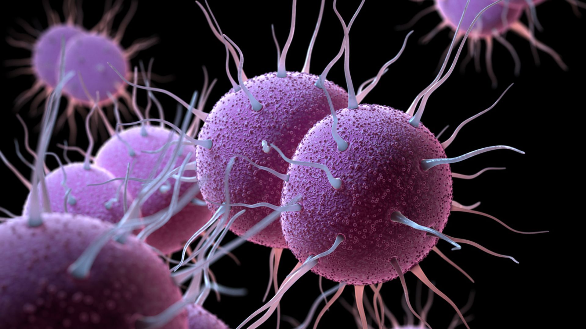 ‘World-first’ gonorrhoea vaccine programme to be rolled out