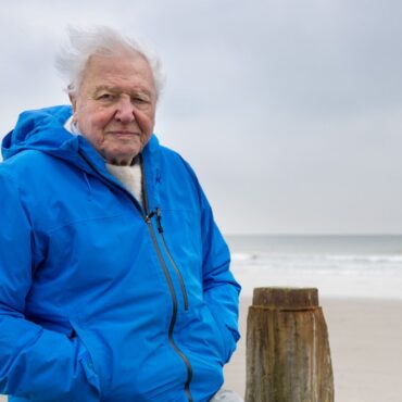 David Attenborough’s Ocean film is ‘biggest message he’s ever told’