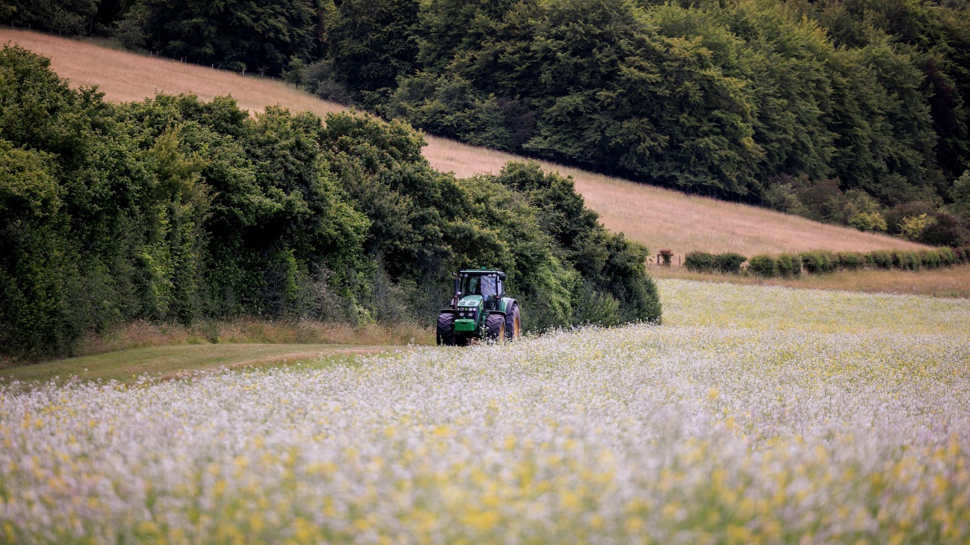 Cutting agricultural budget could be ‘catastrophic’ for nature, farmers and charities warn