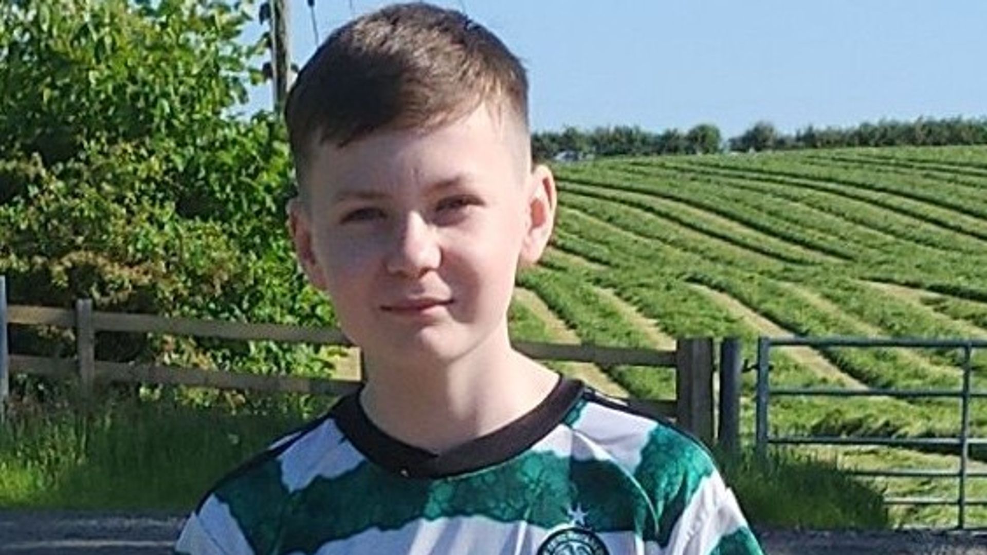 ‘Thank you for trying to save our boy’: Family tribute after death of teenager struck by car on bridge