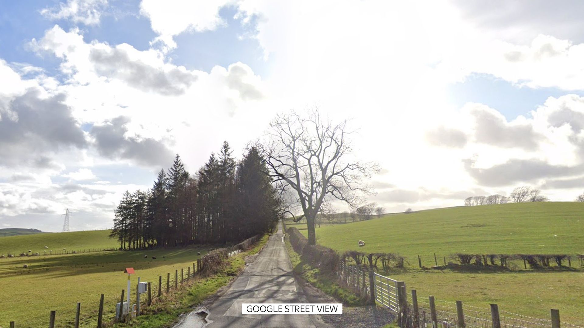 Man and dog die after van crash