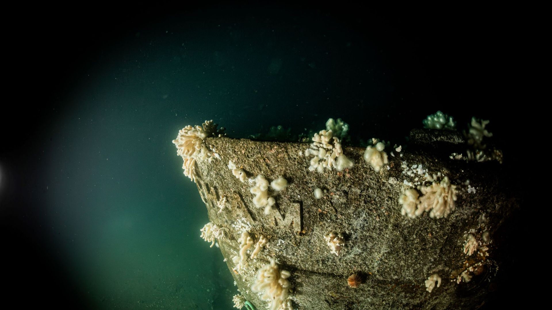 Divers discover Royal Navy warship HMS Nottingham 110 years after it was lost in action