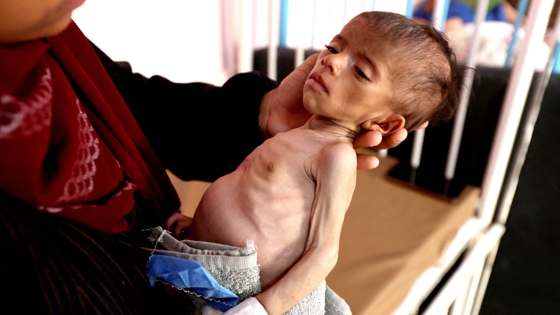 Bob Geldof accuses Israeli authorities of ‘lying’ about starvation in Gaza