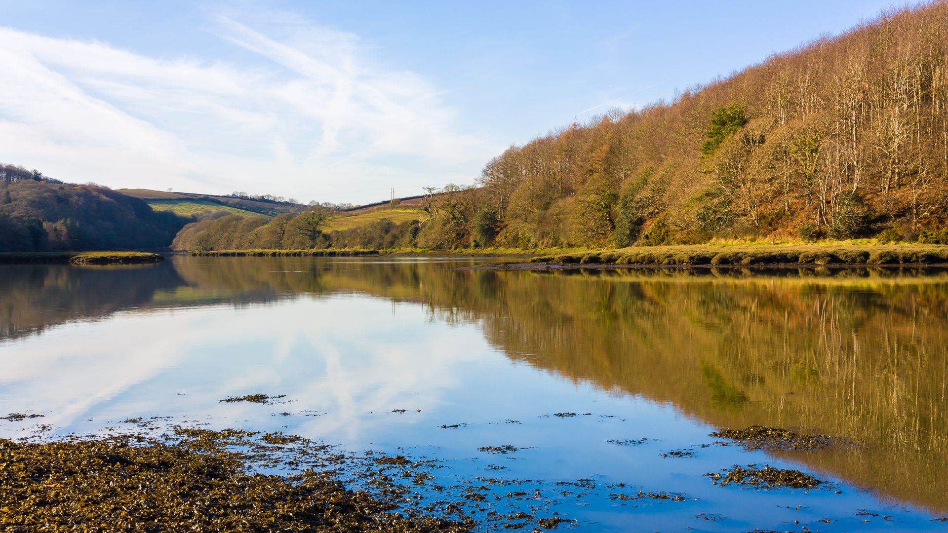 Girl, 11, dies at beauty spot after incident in water