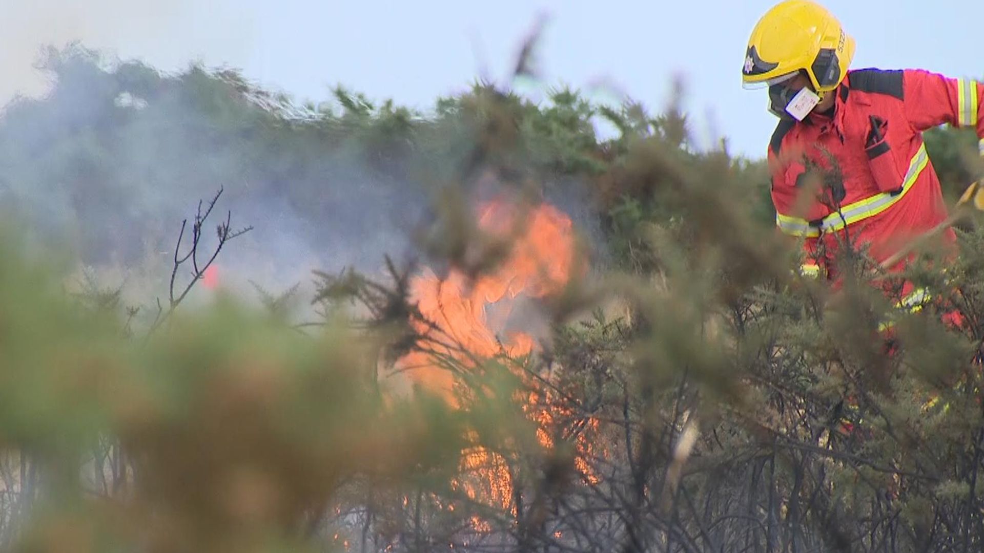 Record number of wildfires in England and Wales in first six months of the year