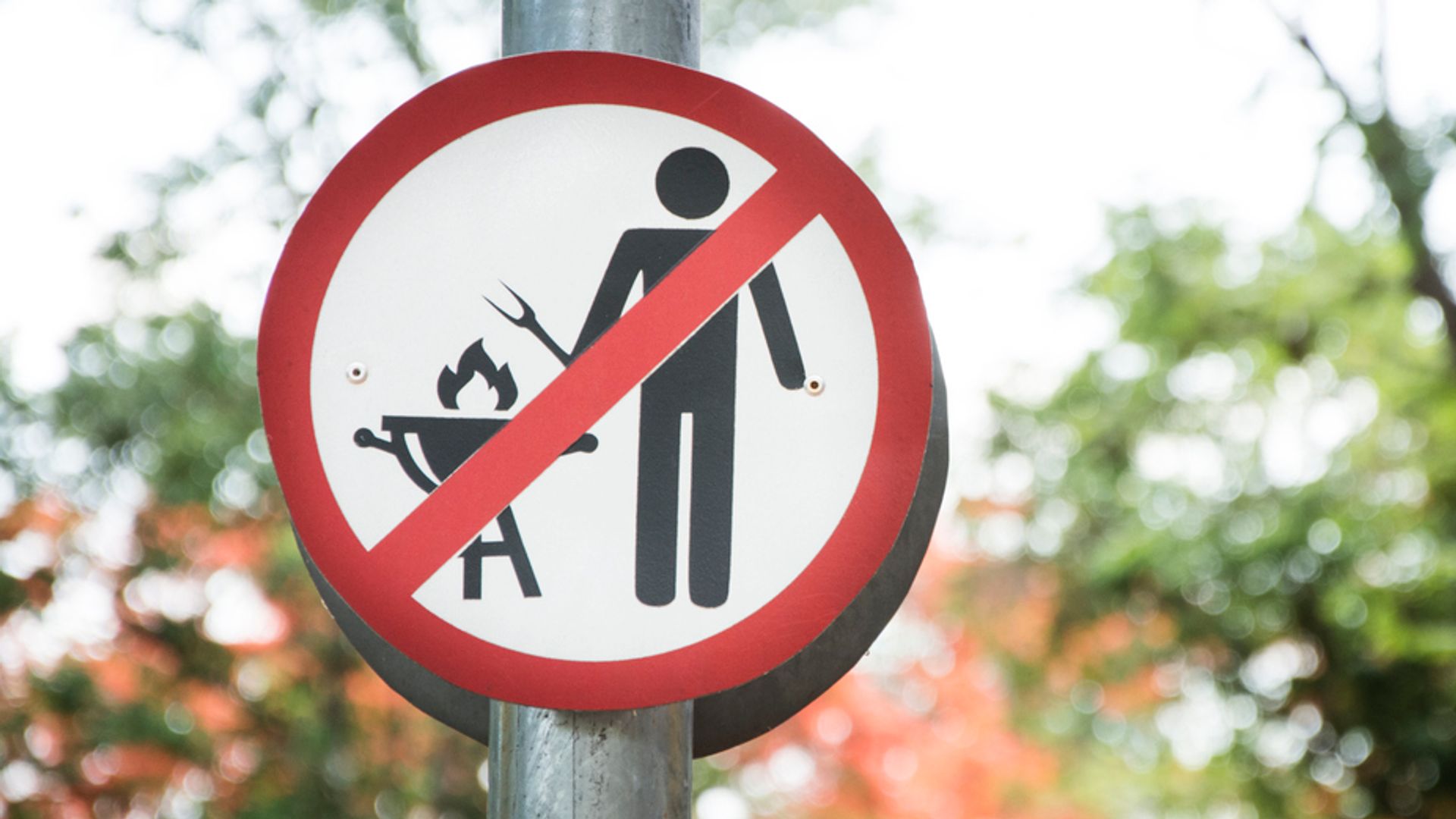 Ban on camp fires and barbecues in UK’s largest national park