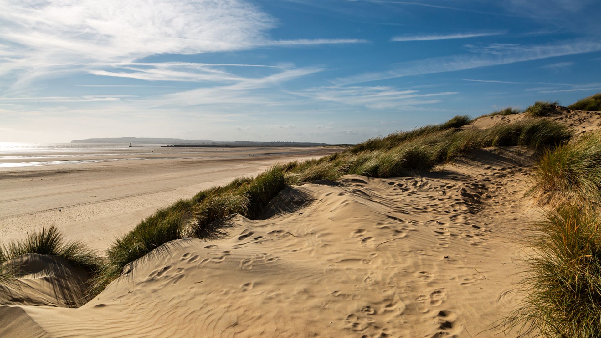 Man charged with sexual assault of woman sunbathing at popular beach