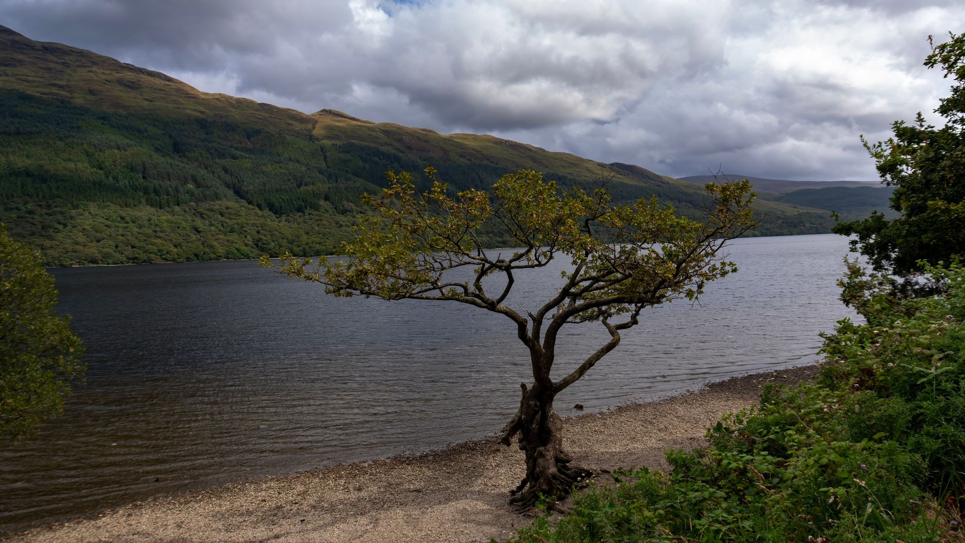 ‘Possible human remains’ discovered at beauty spot