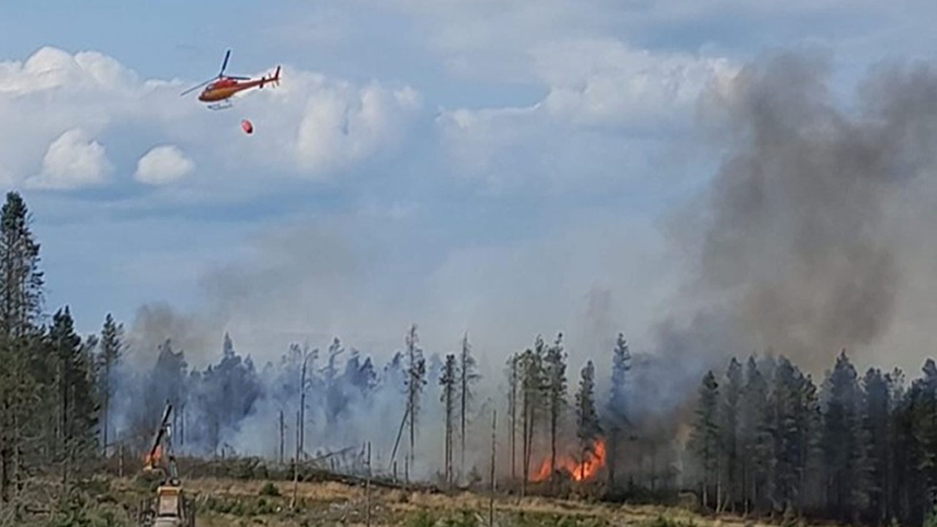 UK suffers worst ever year for wildfires – with total set to eclipse 1,000
