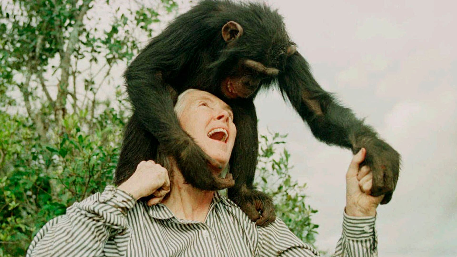 ‘Conservation giant’ who inspired ‘millions’ has died