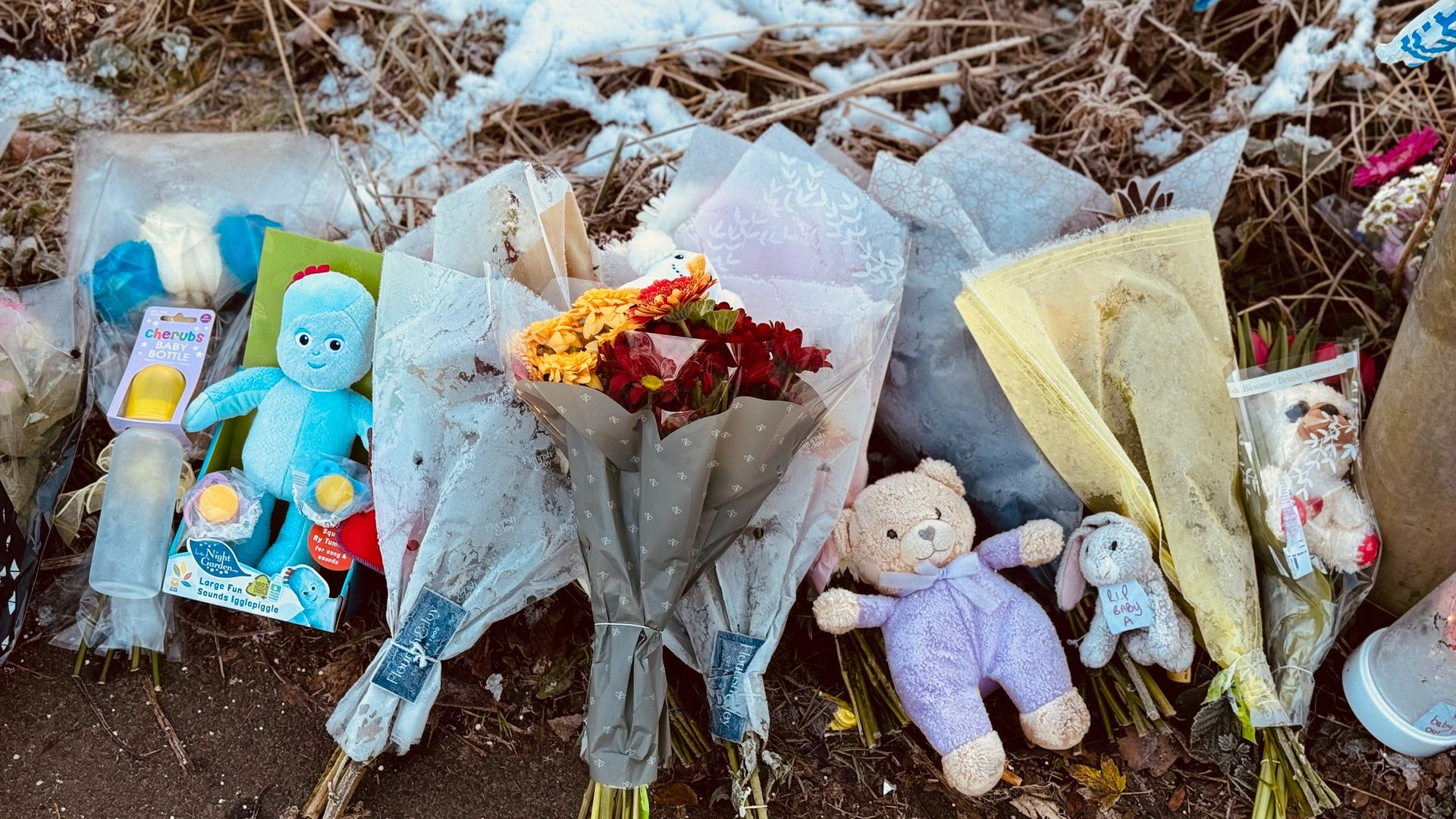Images of clothing found in field with baby Ava released by police
