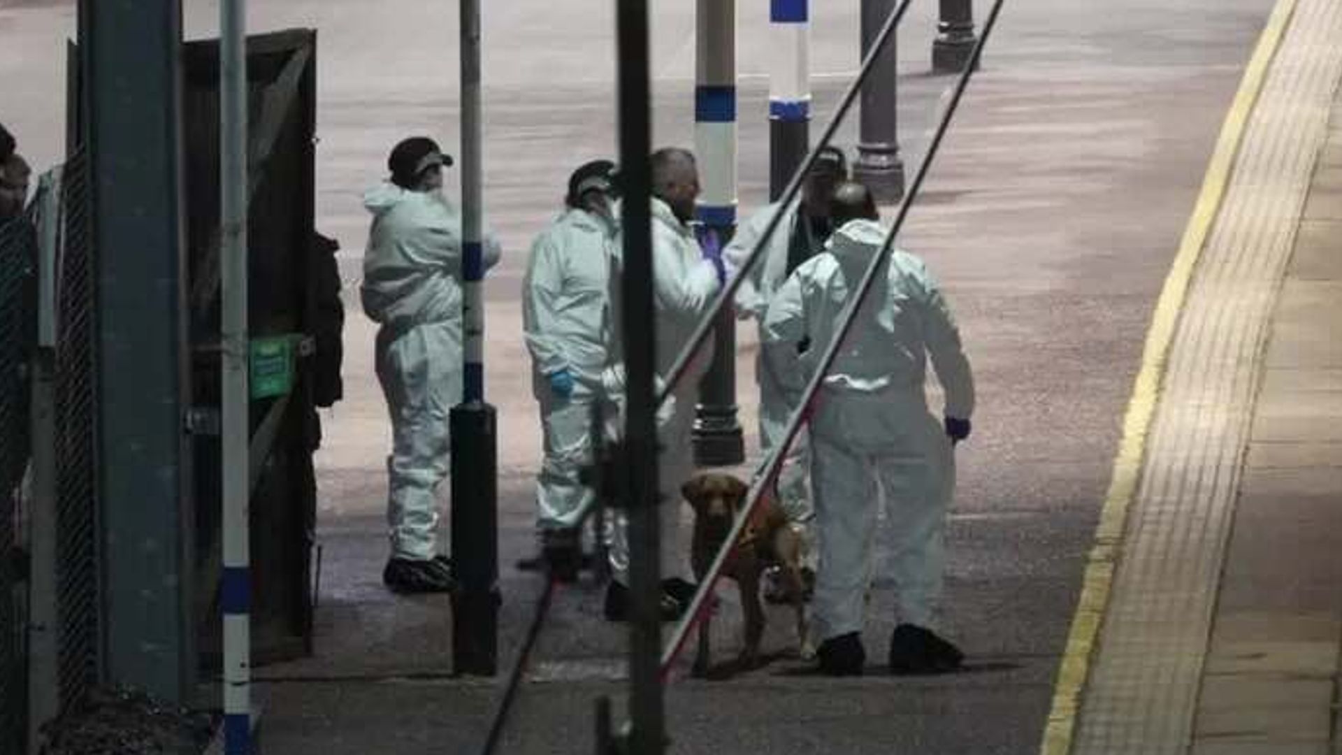 Mass stabbing on train: How the attack unfolded