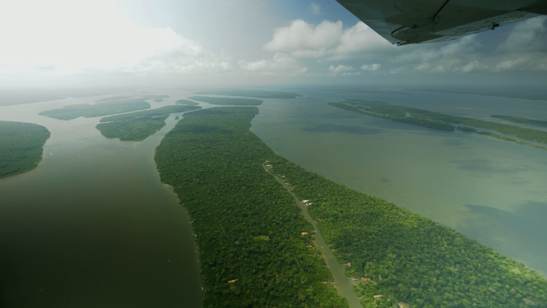 ‘Smart’ idea to save world’s tropical forests – so why is UK not investing?
