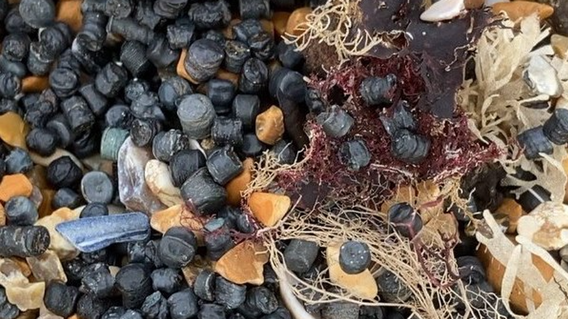 ‘Environmental catastrophe’ at beauty spot beach as ‘millions’ of plastic beads wash up
