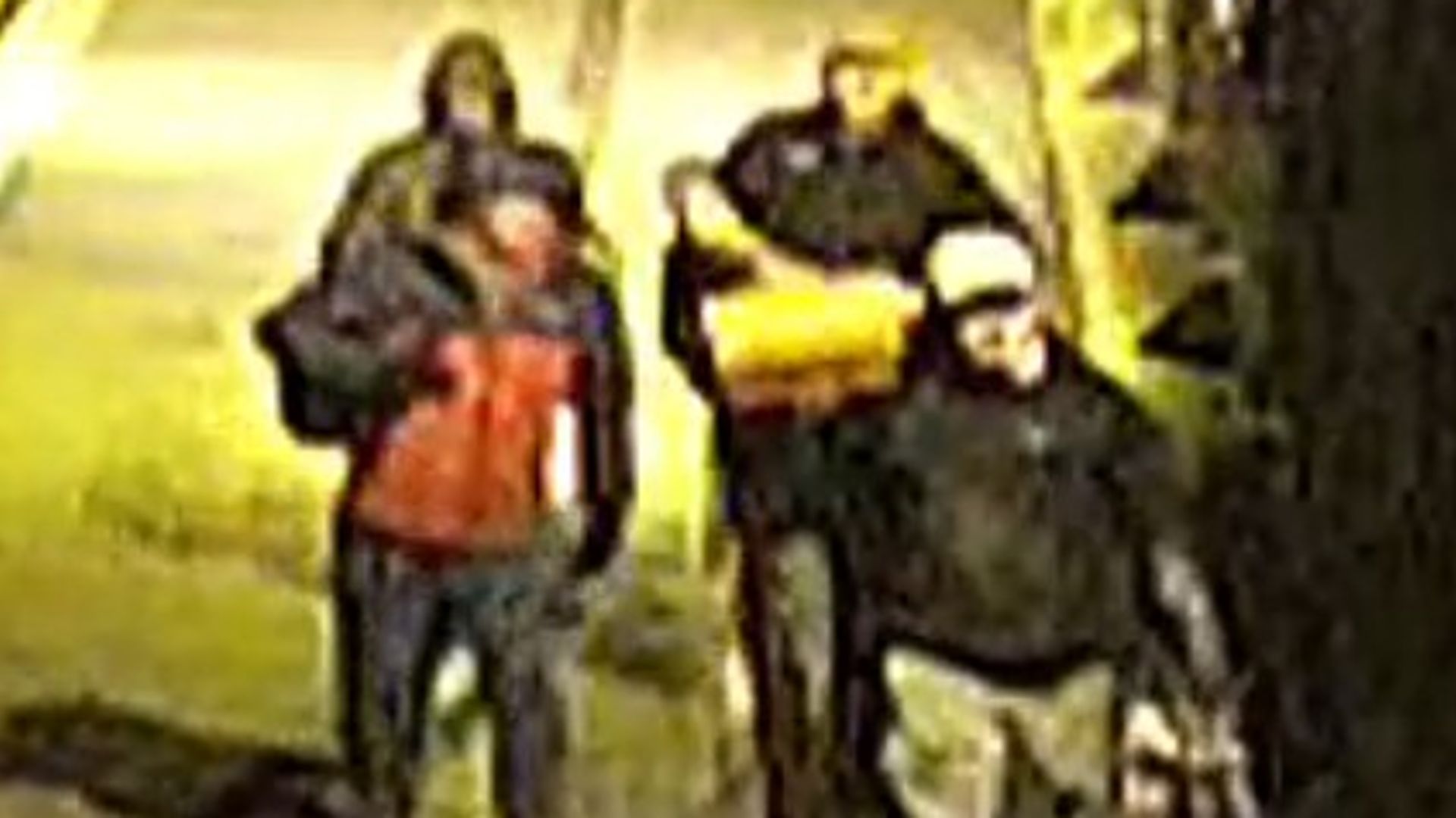 Hundreds of artefacts stolen from museum in Bristol in ‘high-value’ raid