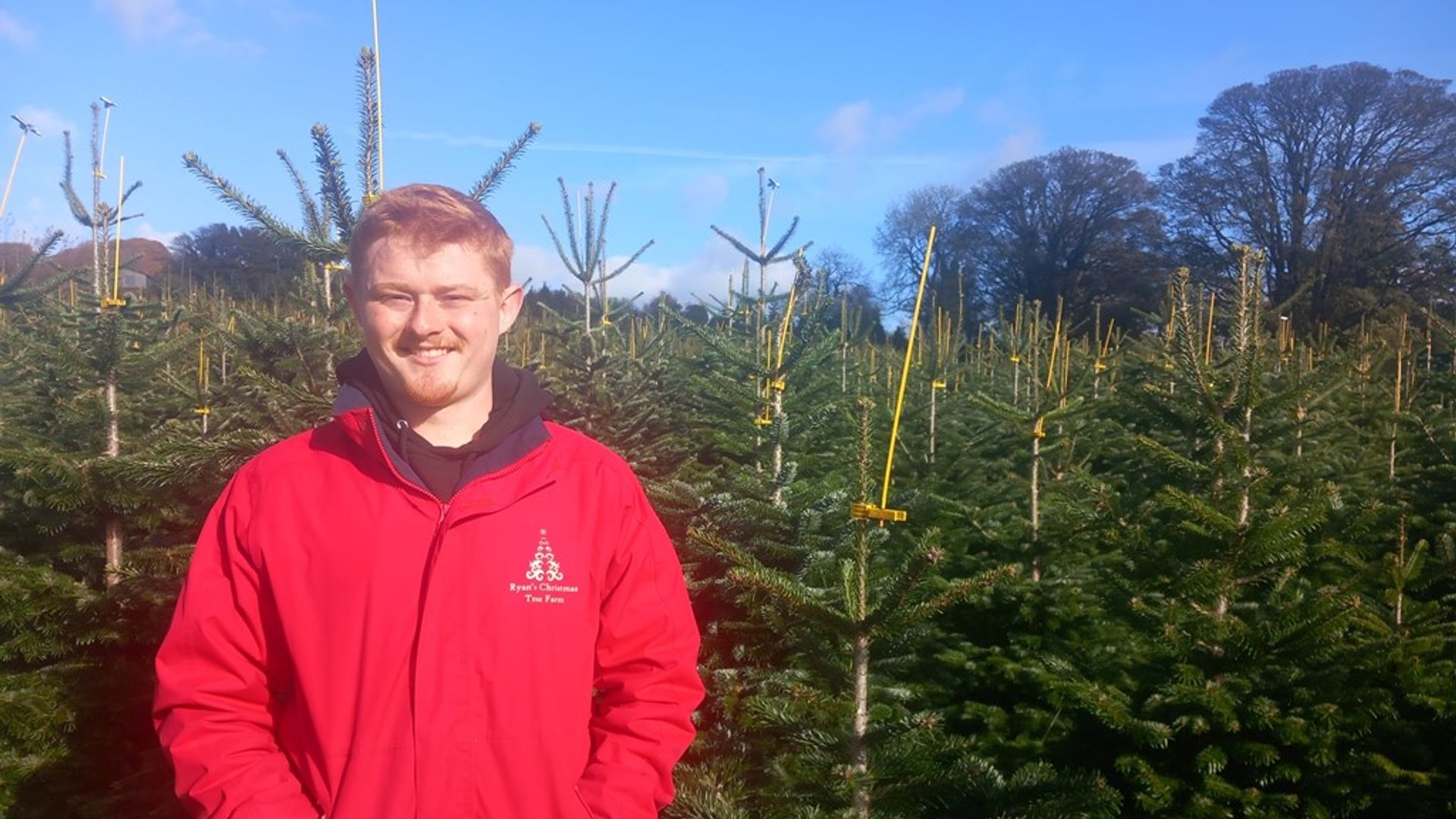 What happened to the nine-year-old who set up a Christmas tree business to pay for university?