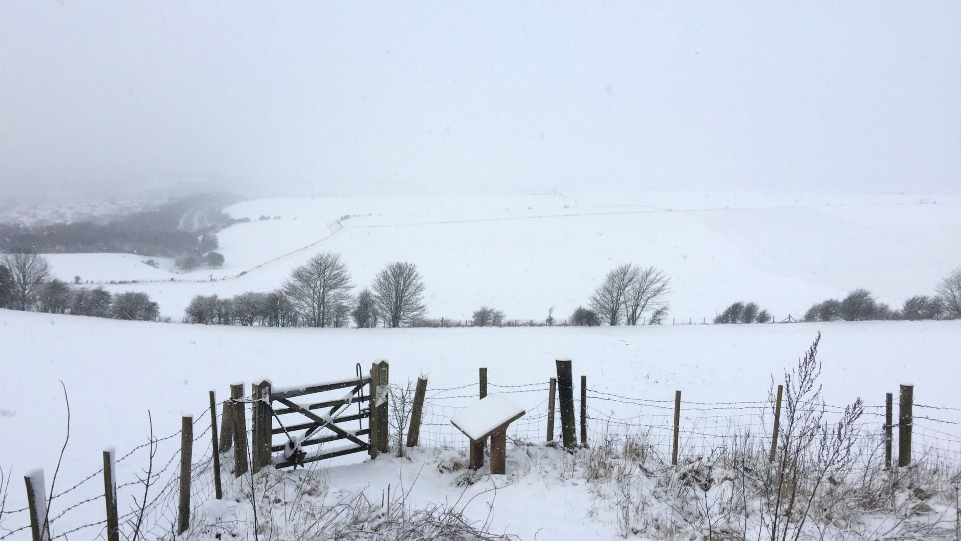 ‘Just a chance’ of a white Christmas, says Met Office