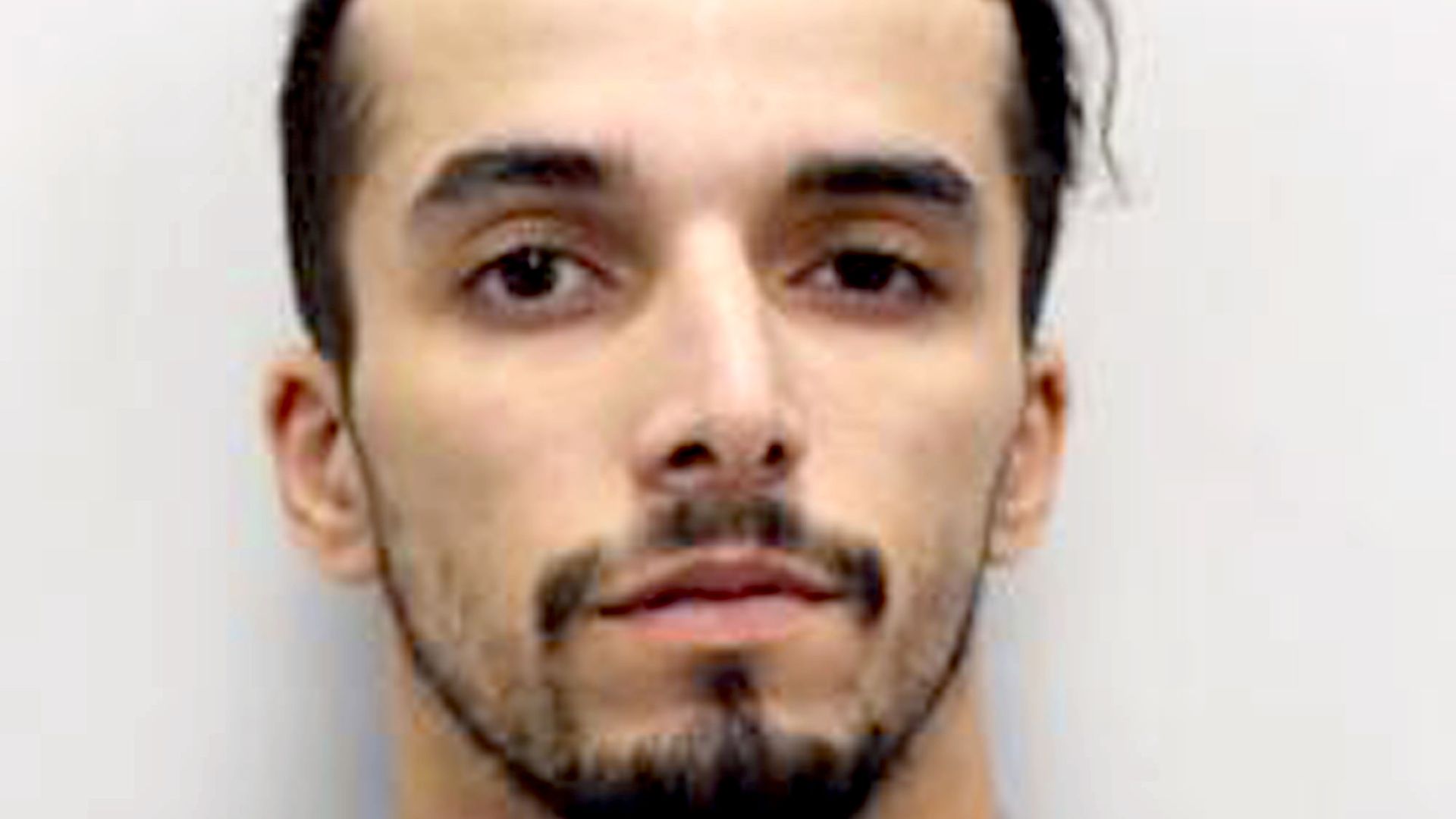 Accidentally freed sex offender jailed for punching and biting police officers