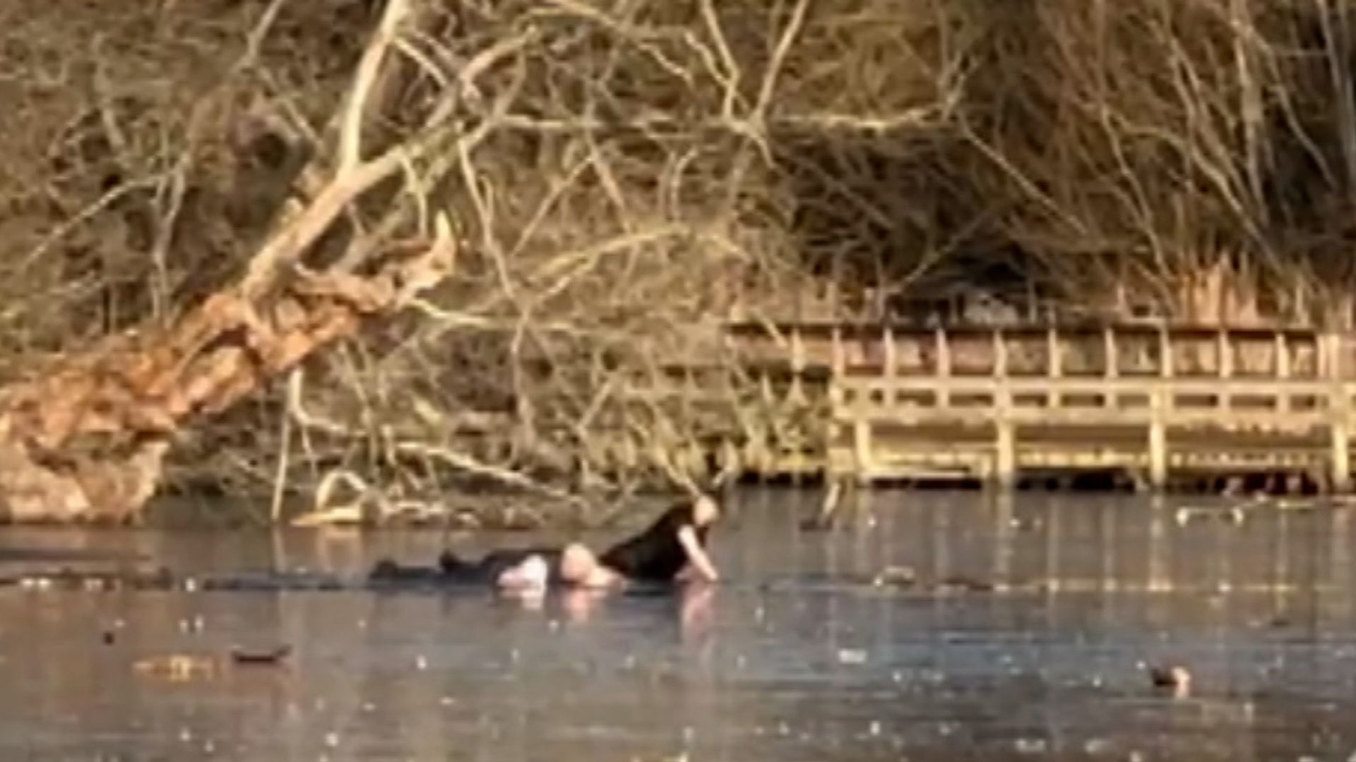 Two men left stranded after dramatic attempt to rescue dog from icy lake