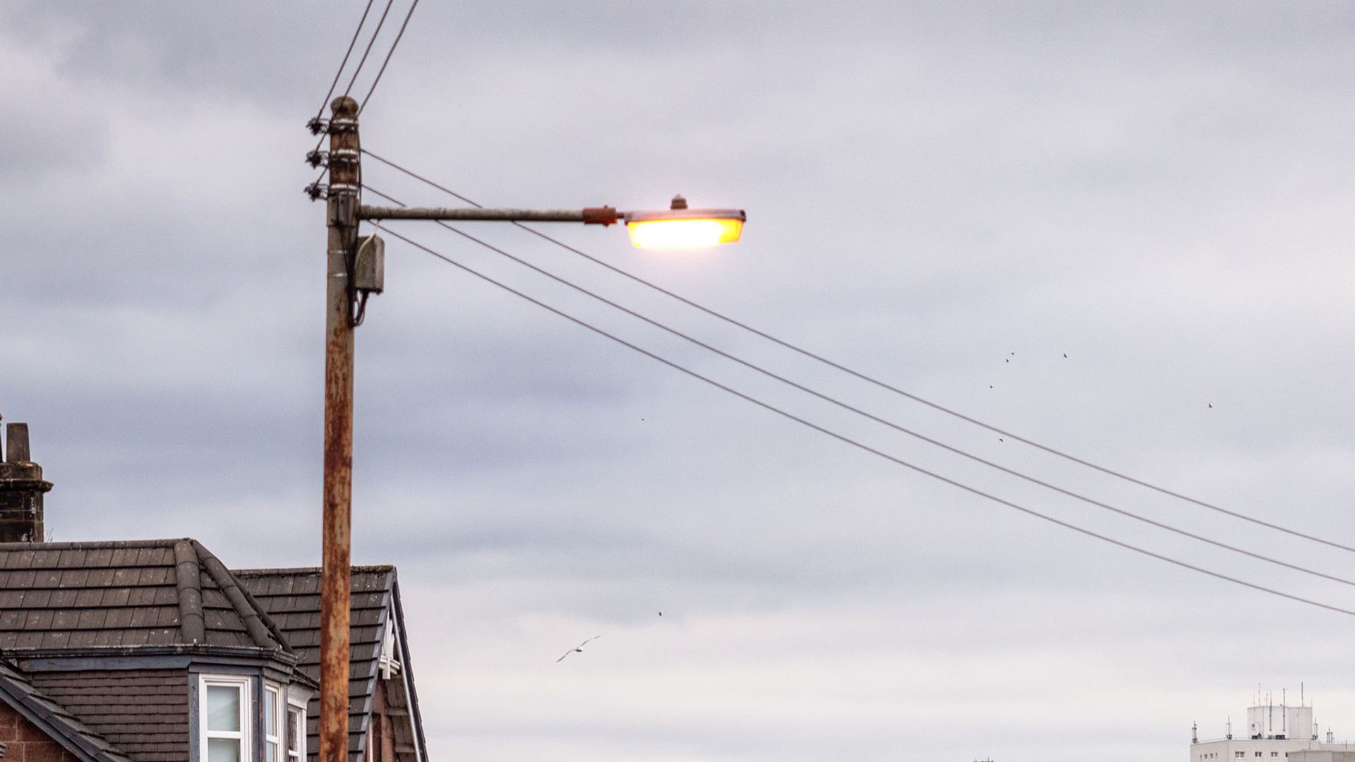 Council ordered to pay £80,000 after man hit by falling lamppost