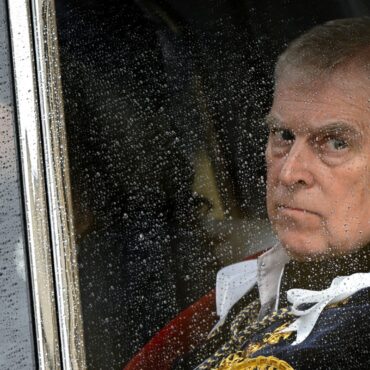 New Epstein files offer level of insight we never expected