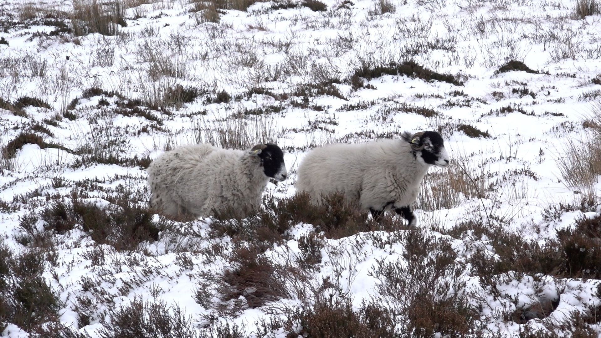 More rain, snow and ice will hit Britain over the weekend