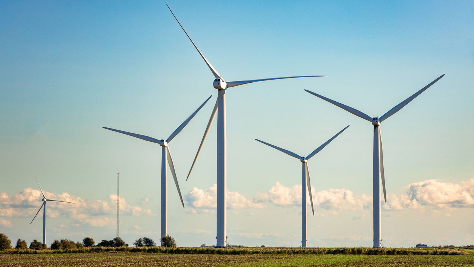 Wind power prices up in new offshore contracts as UK moves away from gas