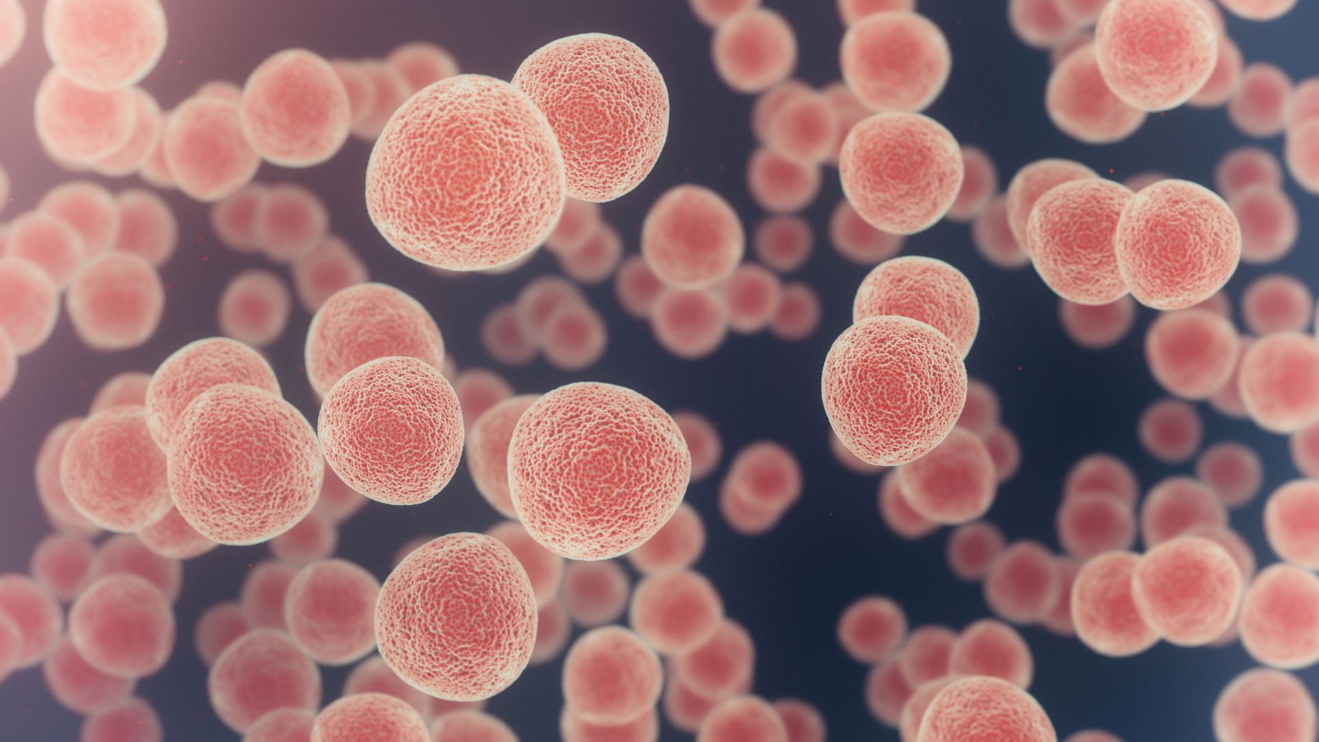 The UK’s new cancer strategy is bold and ambitious – it can’t afford to be anything else