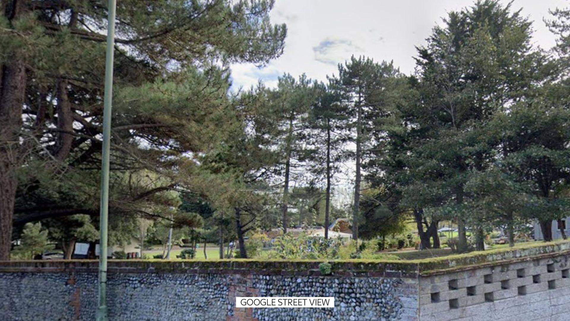 Woman, 28, charged with murder over death of man in park