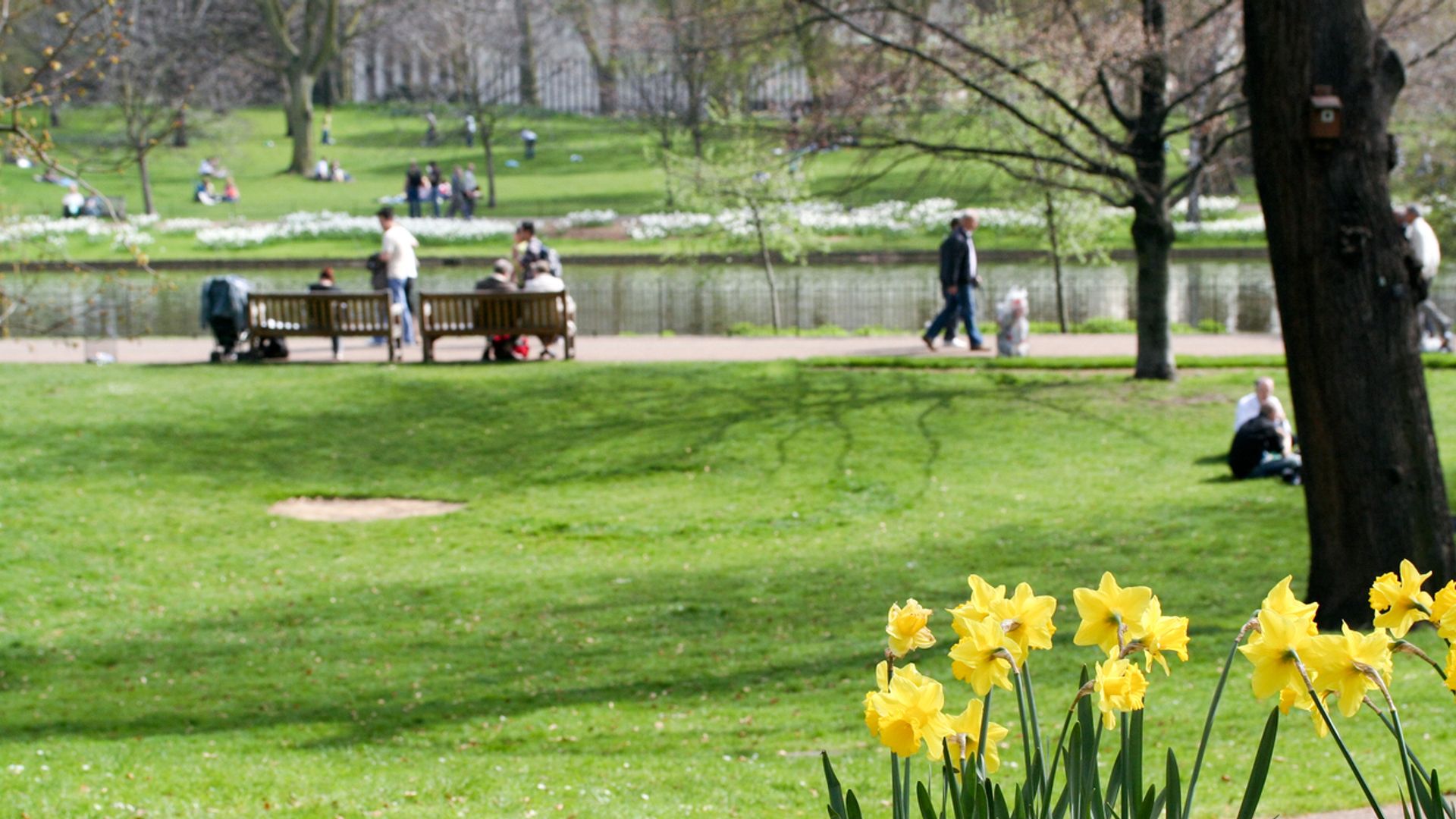 Temperatures could soar to 21C – as sunshine arrives