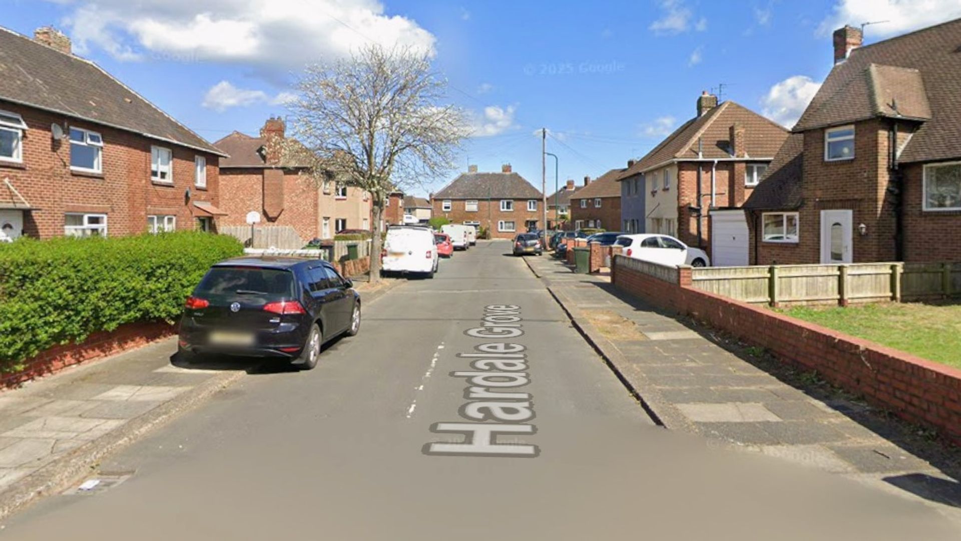 Child dies after suspected dog attack, police say