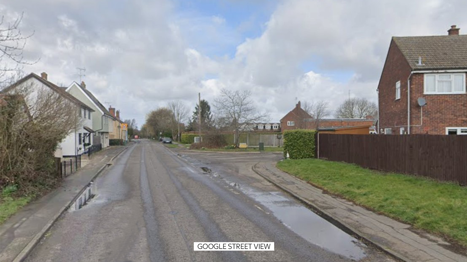 Woman, 19, dies after dog attack