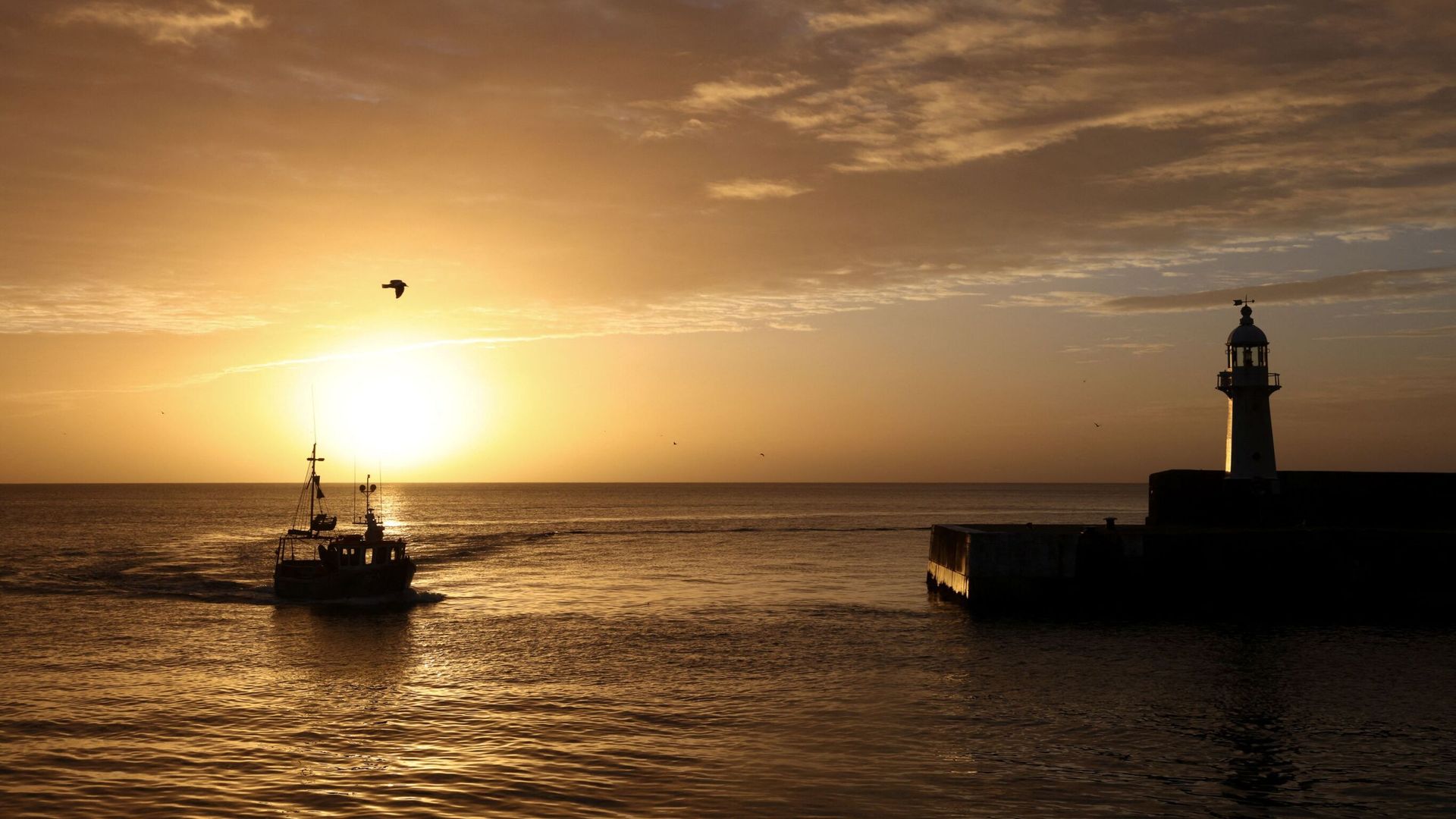 Warning key fish stocks ‘teetering on the brink of collapse’ – amid analysis on overfishing